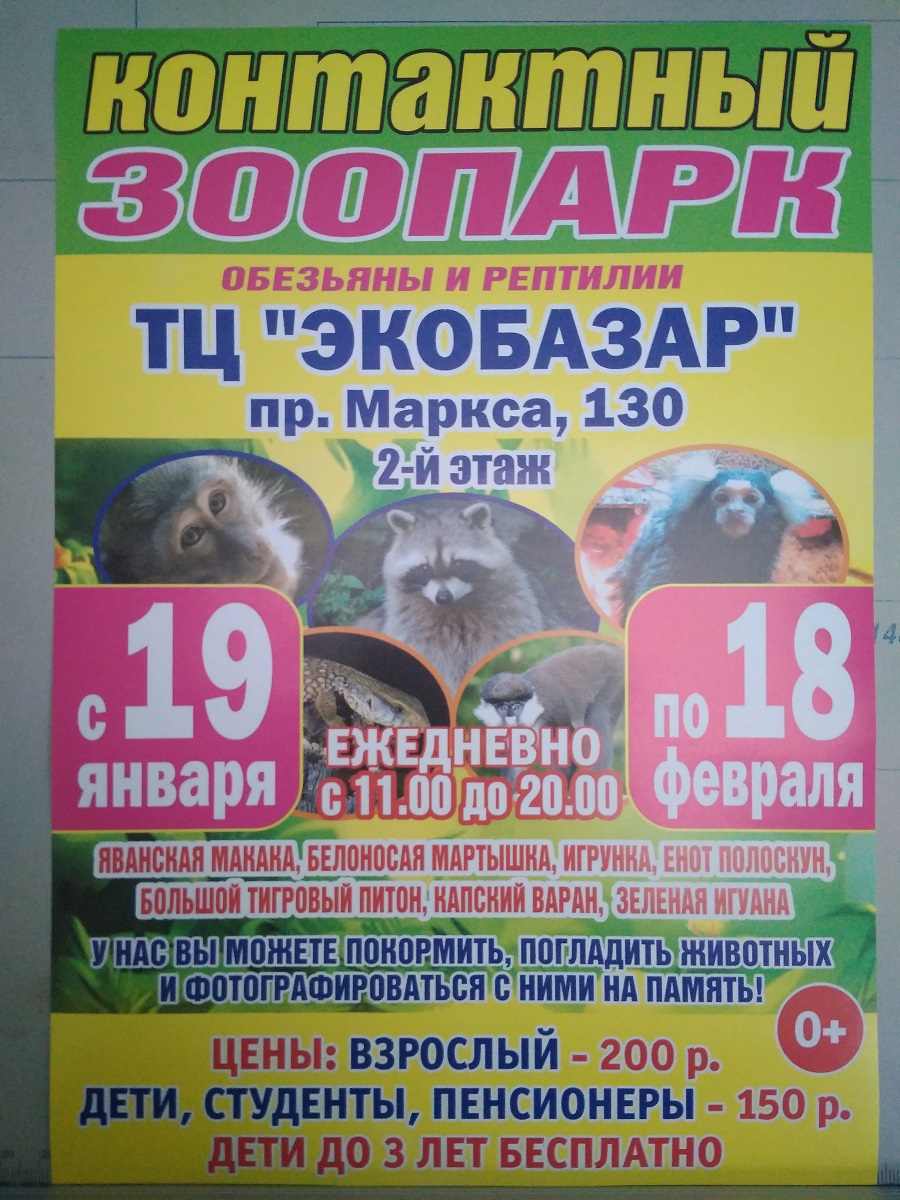 реклама листовка объявление контактный зоопарк экобазар